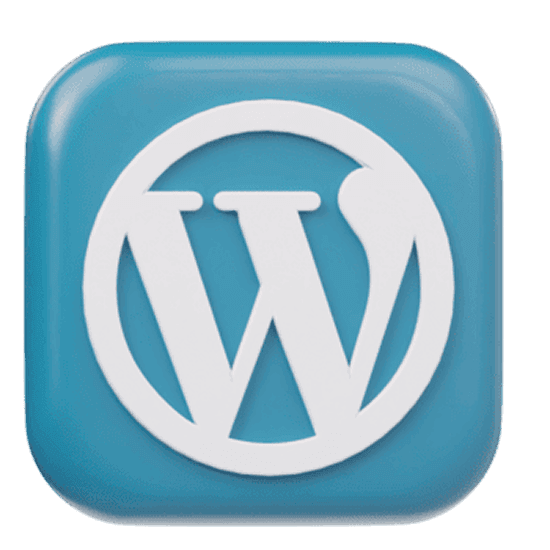 Custom Web Development